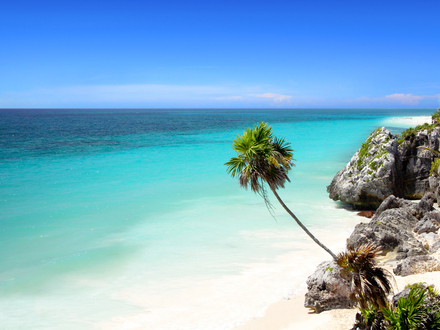 Gózate Cancún en familia